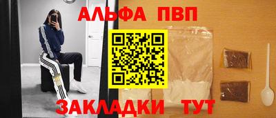 спиды Кингисепп