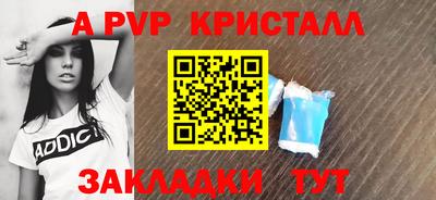 спиды Кингисепп