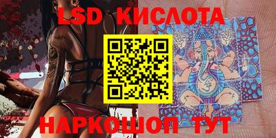 спиды Кингисепп