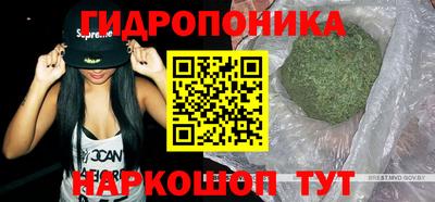 спиды Кингисепп