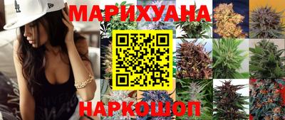 спиды Кингисепп