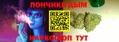 спиды Кингисепп