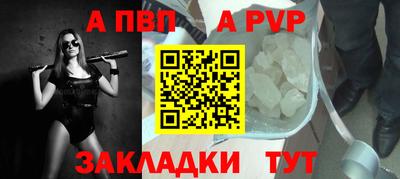 спиды Кингисепп
