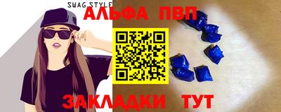 спиды Кингисепп