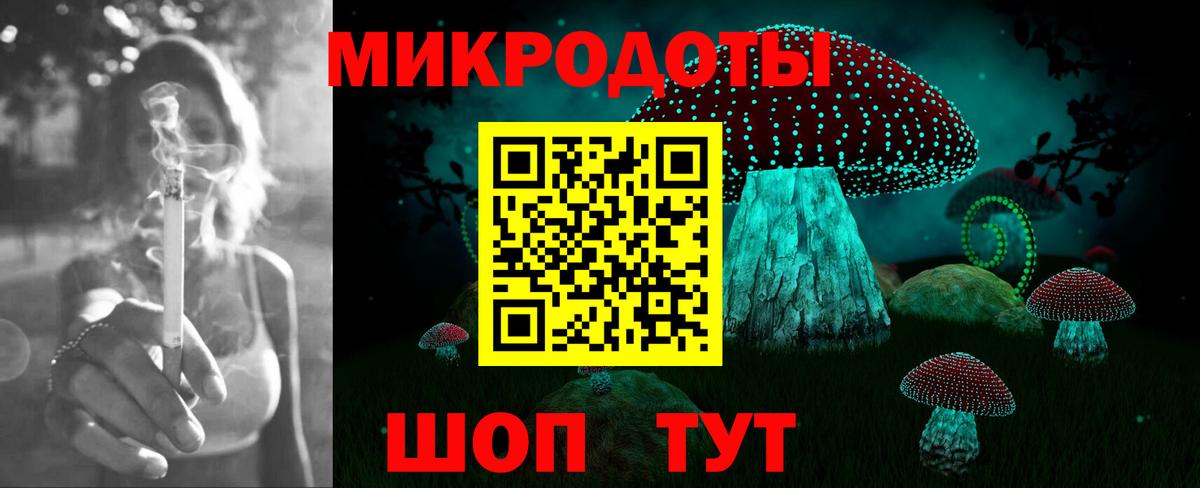 Галлюциногенные грибы Psilocybe Крымск
