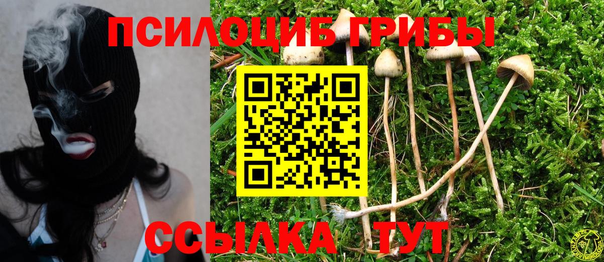 Крымск  Галлюциногенные грибы ЛСД  Вход с VPN 